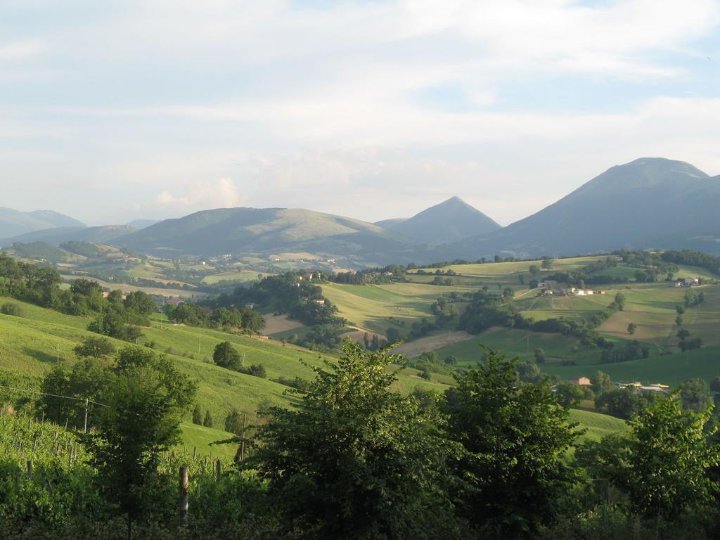 Inn Dell'istrice