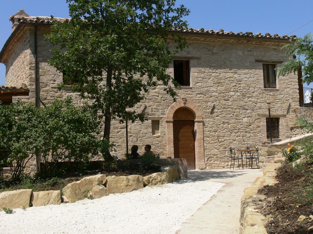 Dell'istrice Camerino